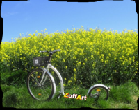 /album/fotogalerie/bildstoff-465-b-png2/